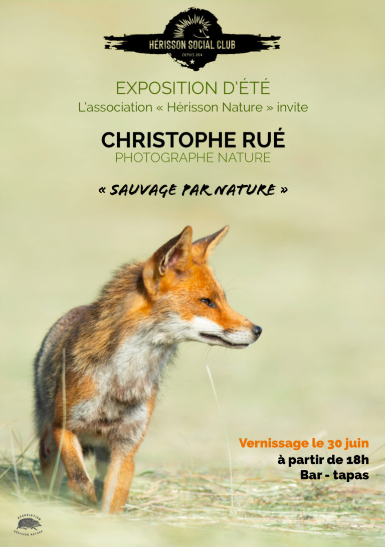 expo photos au Social !