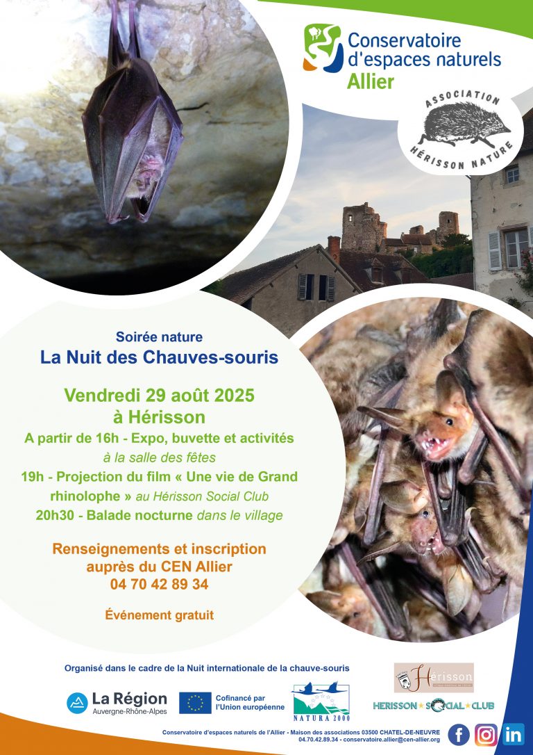 la journée internationale de la chauve-souris !